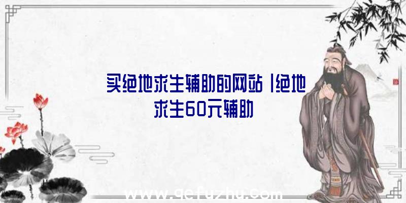 「买绝地求生辅助的网站」|绝地求生60元辅助